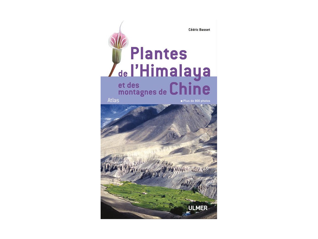 PLANTES DE L'HIMALAYA ET DES MONTAGNES DE CHINE
