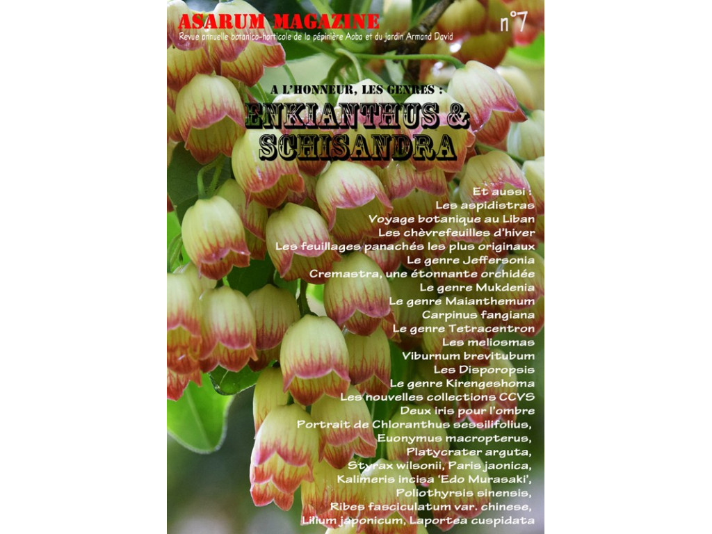REVUE ASARUM MAGAZINE n°7 REVUE ASARUM MAGAZINE n°7