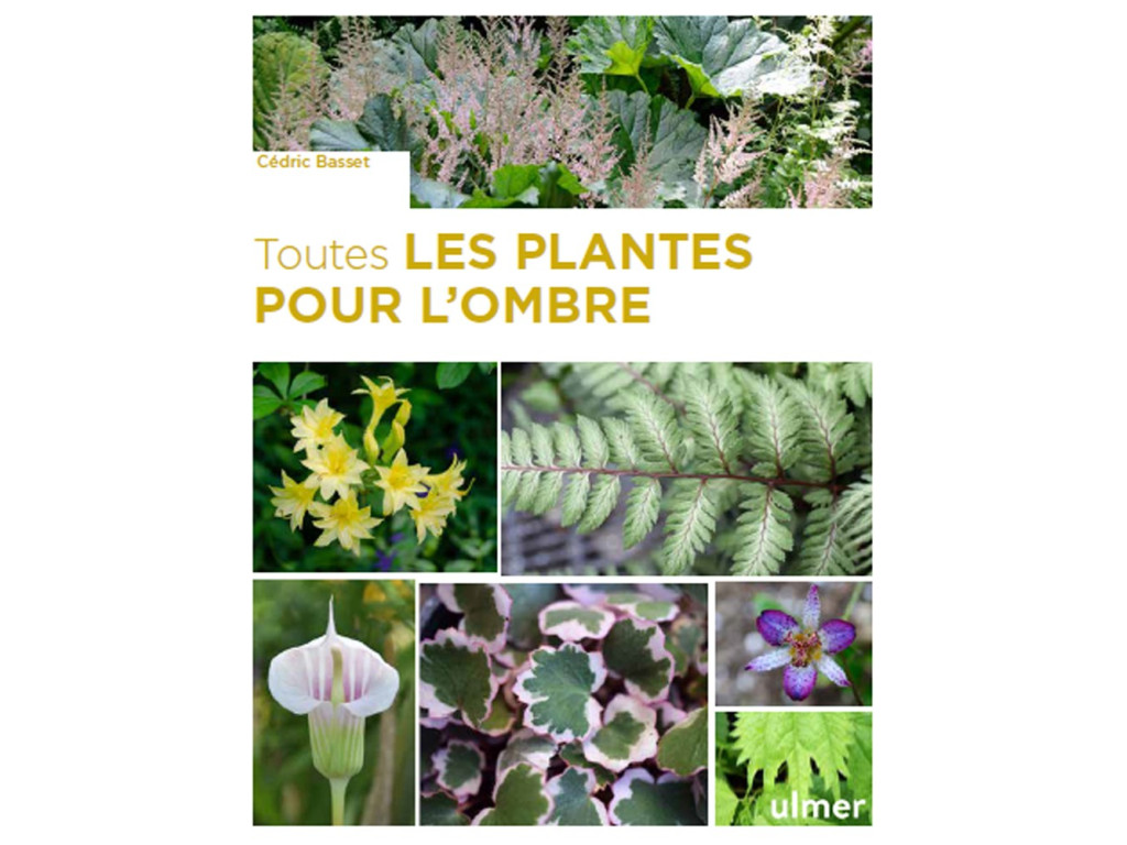 TOUTES LES PLANTES POUR L'OMBRE